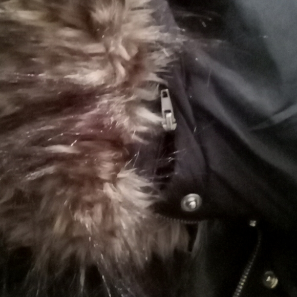 Jacket - Picture 8 of 8